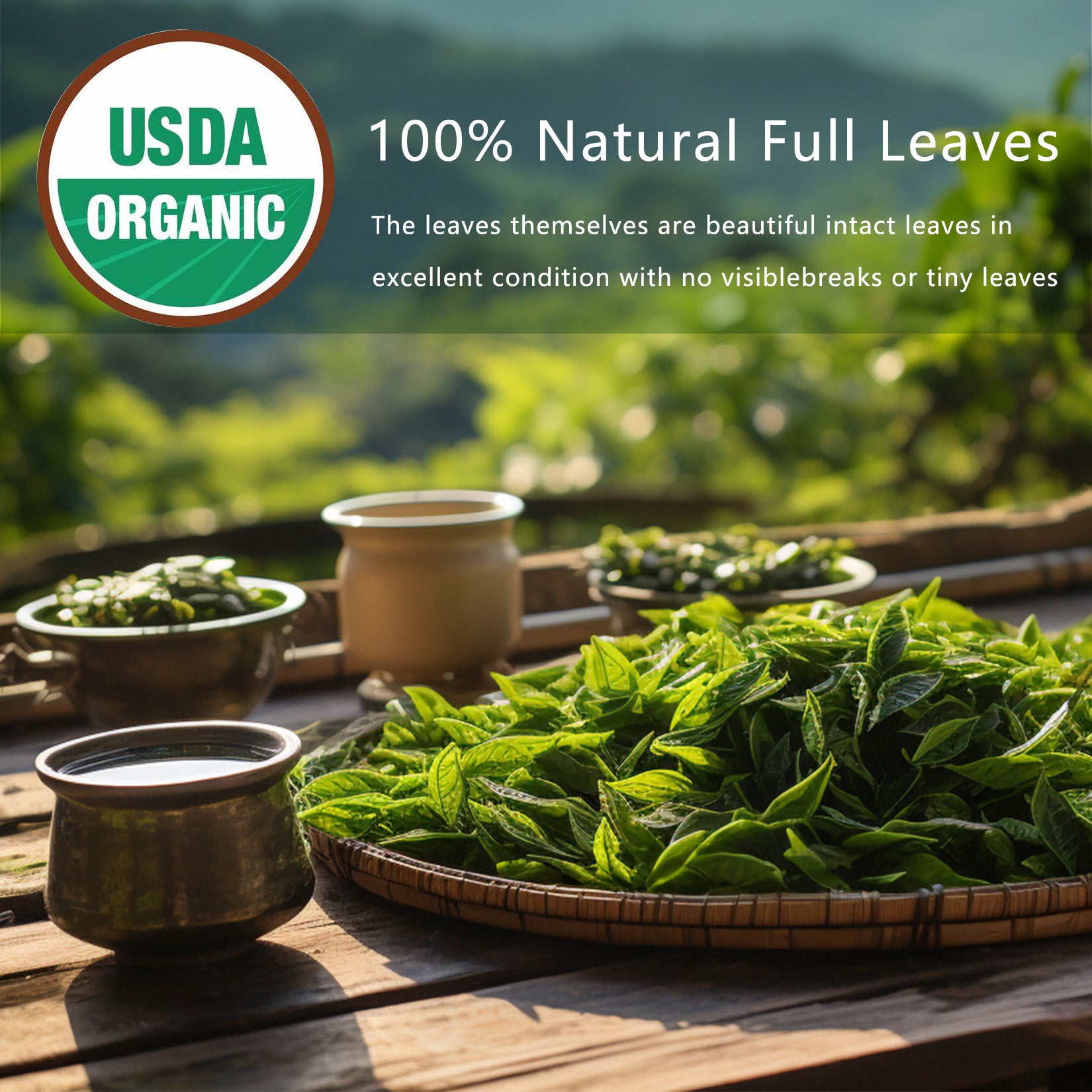 Detox Cleanse Tea – Natural Herbal Tea Bags with Oolong Leaf | Lung Cleanse, Gut Health & Immune Boost | Organic Caffeine-Free Non-GMO