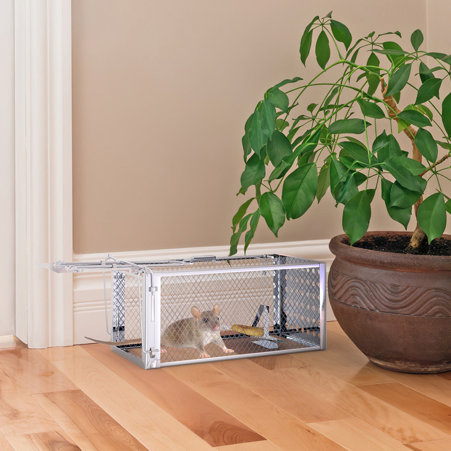 Single Door Humane Rat Trap Cage – Reusable Live Mouse Trap for Small Rodents, Voles & Hamsters Indoor Outdoor