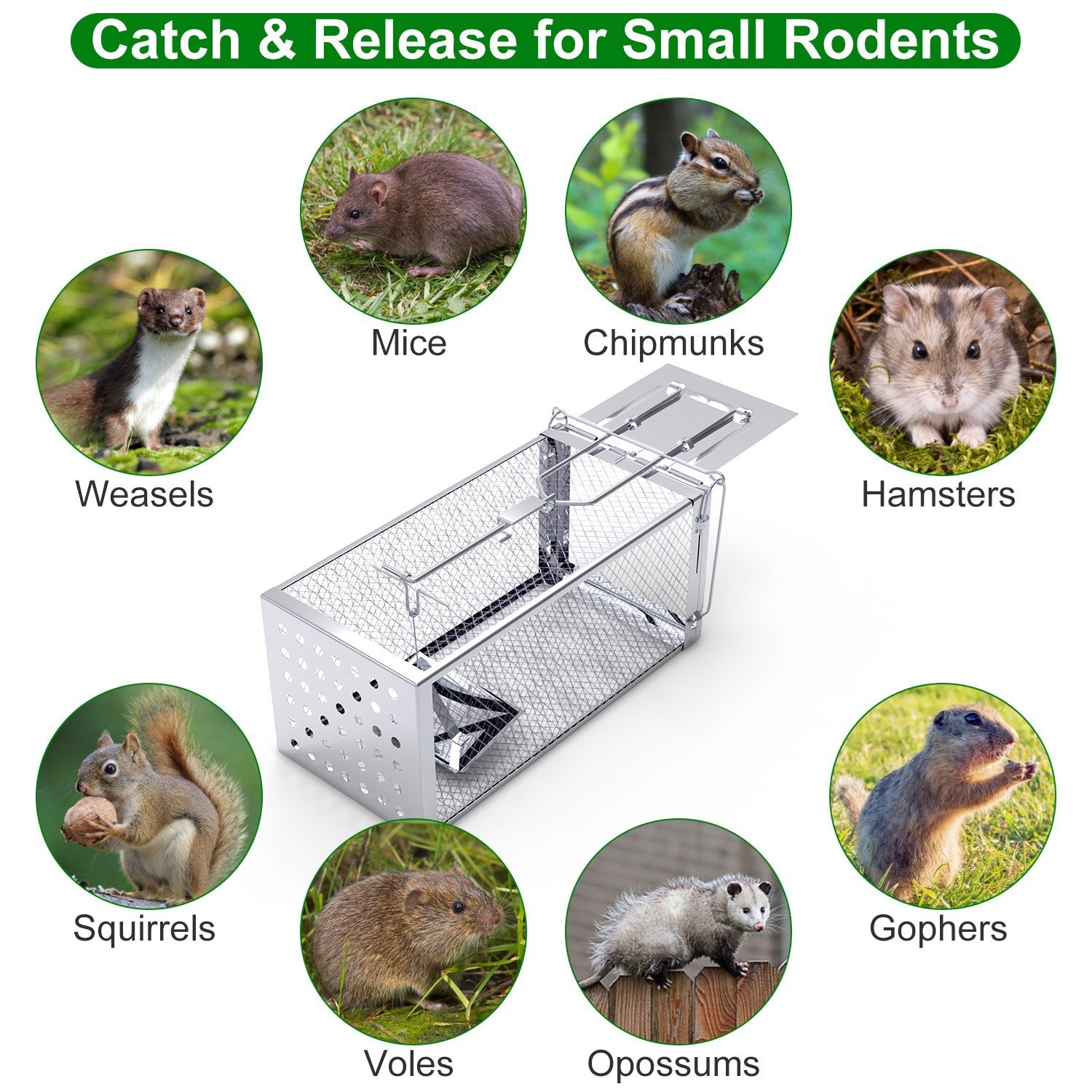 Single Door Humane Rat Trap Cage – Reusable Live Mouse Trap for Small Rodents, Voles & Hamsters Indoor Outdoor