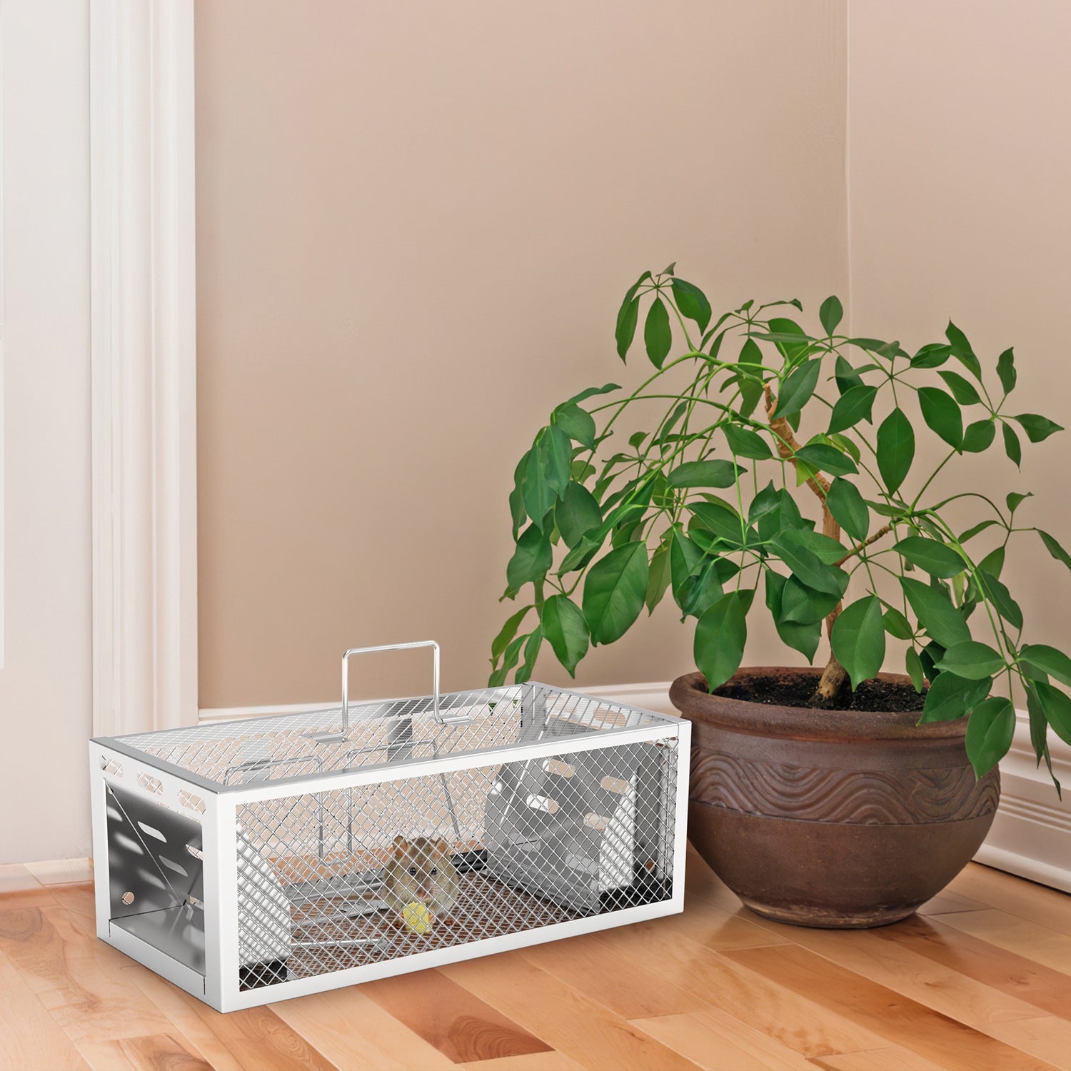 2-Pack Humane Rat Trap – Automatic 2-Door Mouse Trap Cage | Reusable Galvanized Iron Live Animal Catcher