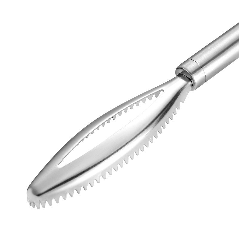 430 Stainless Steel Fish Scale Remover – Kitchen Gadget Fish Killing & Cleaning Tool for Easy Descaling