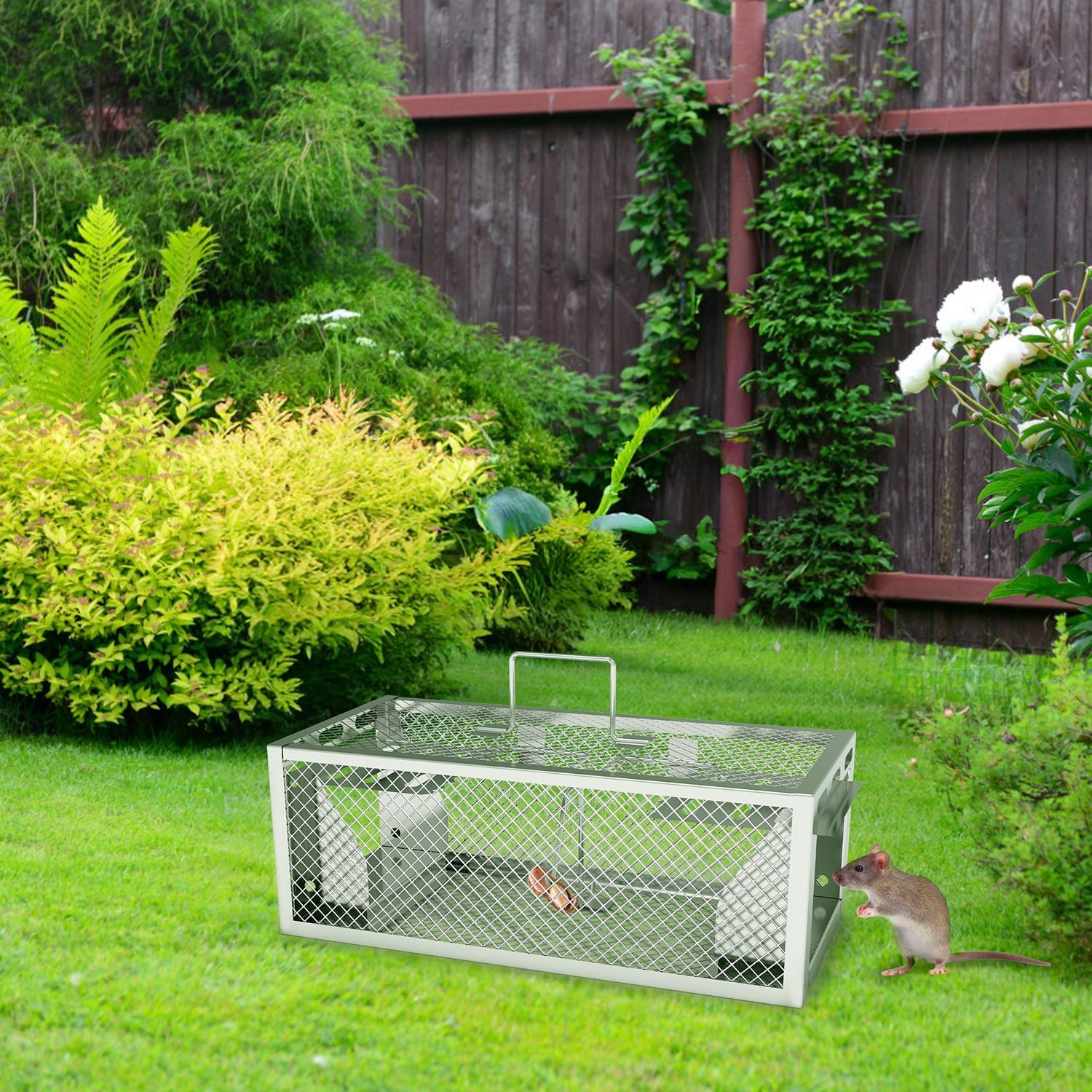 2-Pack Humane Rat Trap – Automatic 2-Door Mouse Trap Cage | Reusable Galvanized Iron Live Animal Catcher