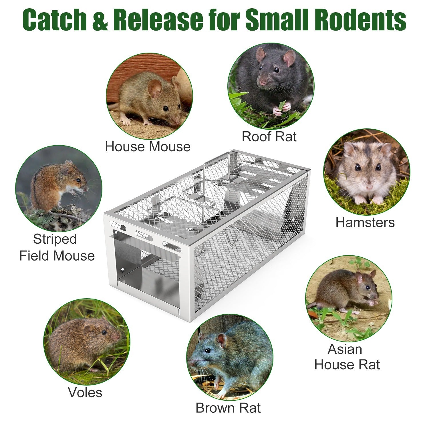 2-Pack Humane Rat Trap – Automatic 2-Door Mouse Trap Cage | Reusable Galvanized Iron Live Animal Catcher